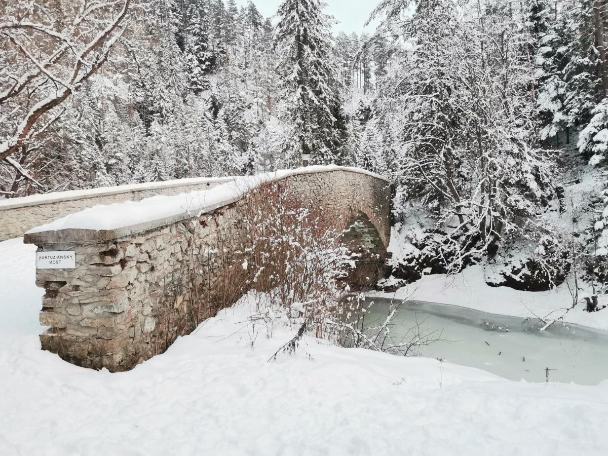 Spišské Tomášovce Ubytovanie Lala المظهر الخارجي الصورة