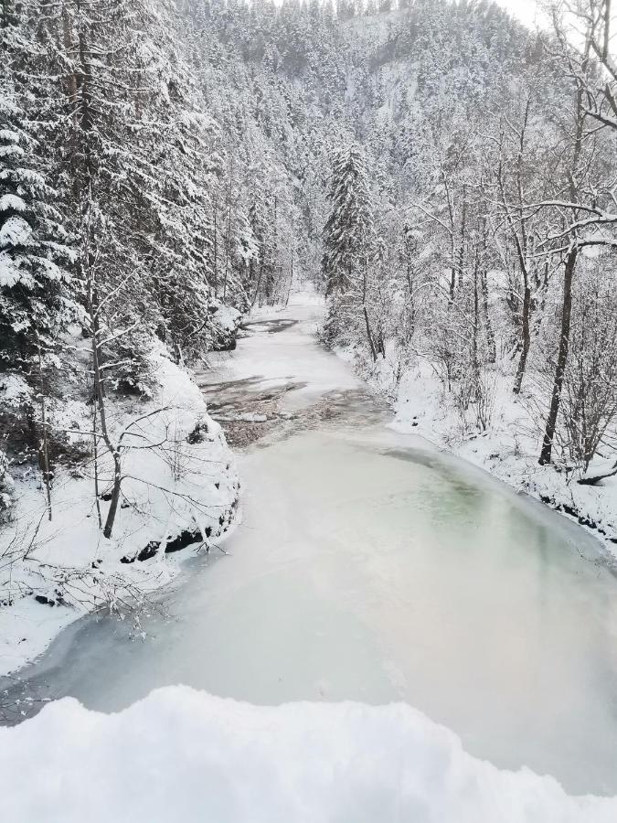 Spišské Tomášovce Ubytovanie Lala المظهر الخارجي الصورة